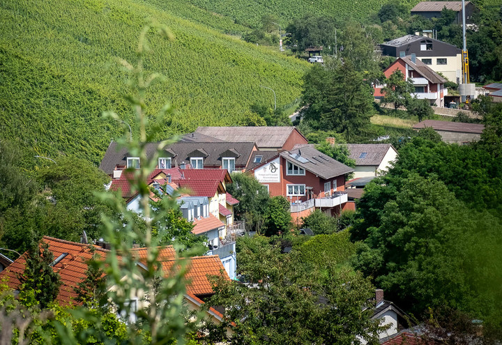 Weingut-Am-Marsberg-Schmachtenberger-Natur-2021